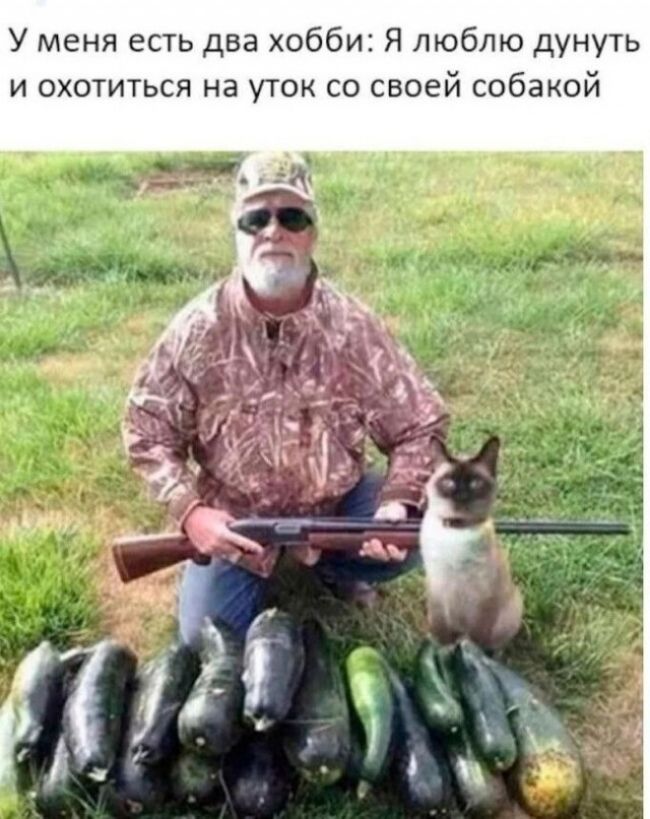 У меня есть два хобби Я люблю дунуть И ОХОТИТЬСЯ на уТОК СО СВОЕЙ собакой