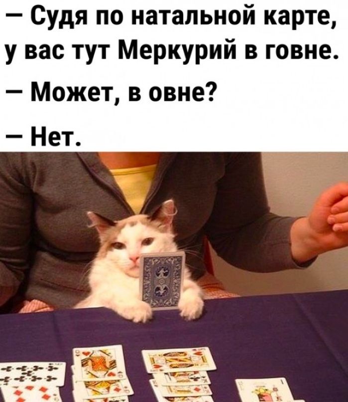 Судя по натальной карте у вас тут Меркурий в говне Может в овне