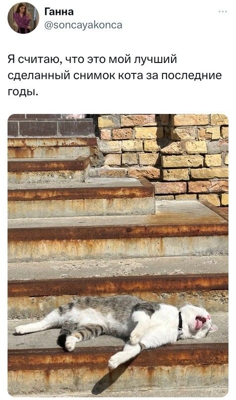 Ганна эопсауаюпса Я считаю что это мой лучший сделанный снимок кста за последние годы