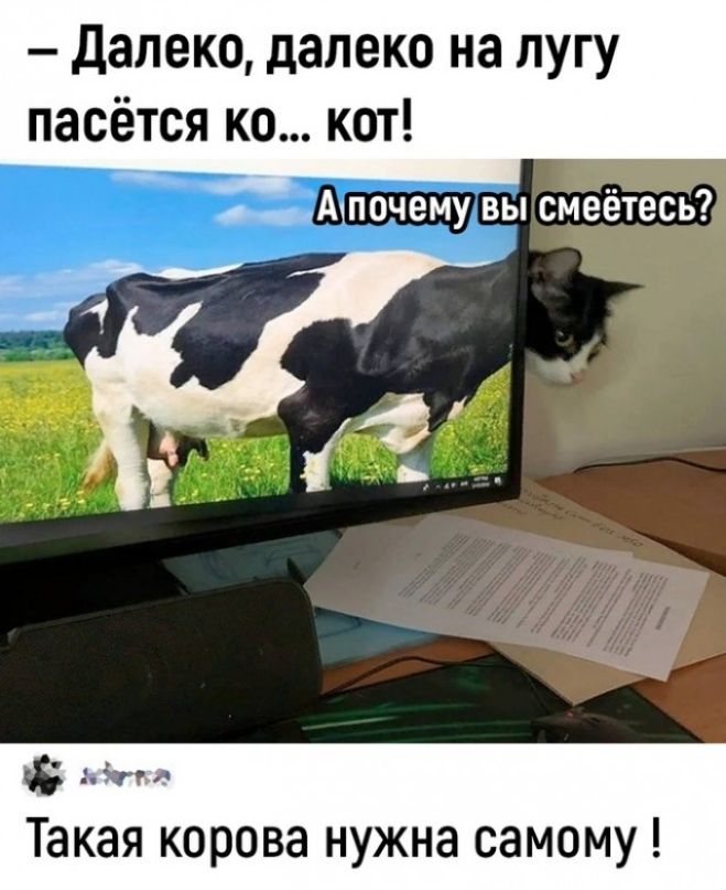 далеко далеко на лугу пасётся ко кат Аупочему вы смеетецсщ Мгн Такая корова нужна самому
