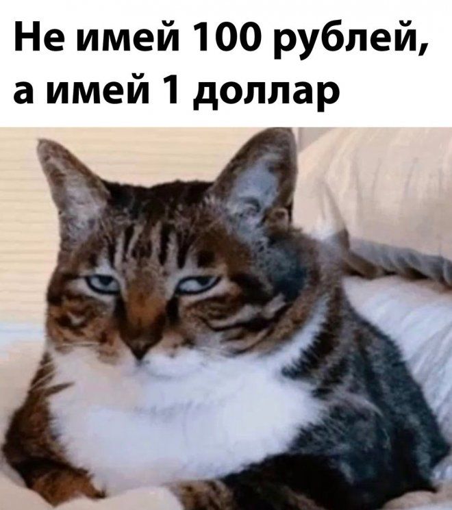 Не имей 100 рублей а имей 1 доллар