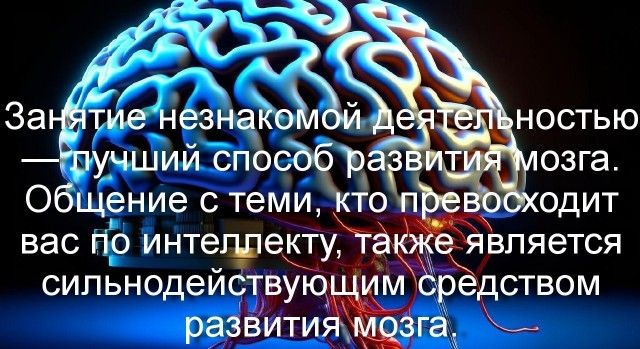 Общение с теми вас По интел диету ём сипьнодейству развити
