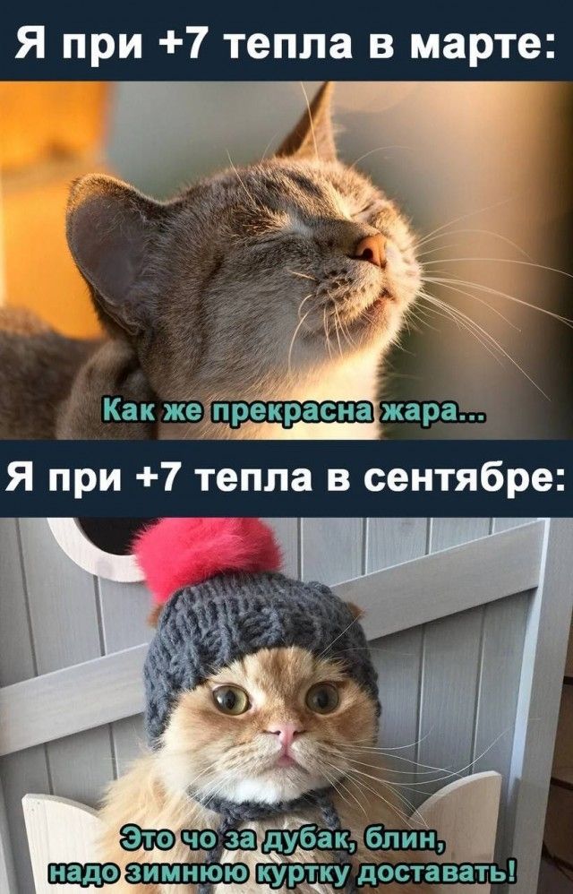 Я при 7 тепла в марте ЗСФ ю за дУбак блик юкуртку доставать