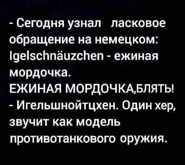 Сегодня узнал ласковое обращение на немецком 9есЬпёи2сЬеп ежиная мордочка ЕЖИНАЯ МОРДОЧКАБЛЯТЬ Игельшнойтцхен Один хер звучит как модель противотанкового оружия