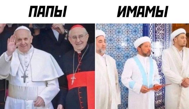 ПЛПЫ ИМЛМЫ