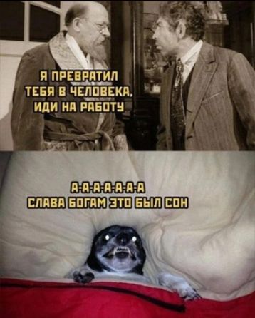 и понятия тваи чщврщ иди на мнит ям н п ня _ЕШЕШ БШПЕШП