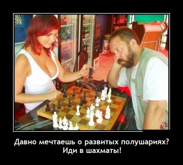 Давно мечтаешь о развитых полушариях Иди в шахматы