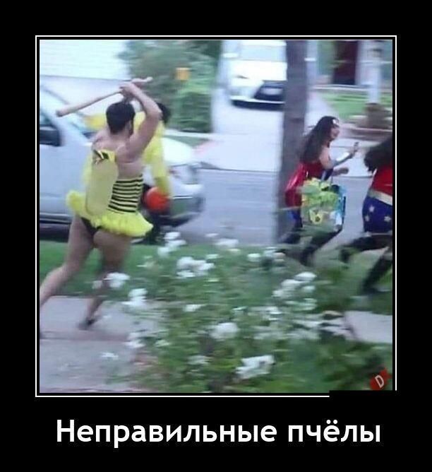 Неправильные пчёлы
