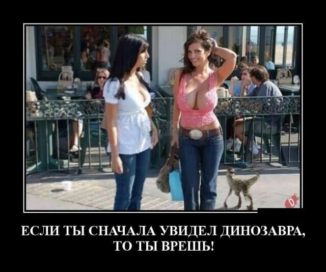 ЕСЛИ ТЫ СНАЧАЛА УВИДЕЛ ДШ ЮЗАВРА1 ТО ТЫ ВРЕШЬ