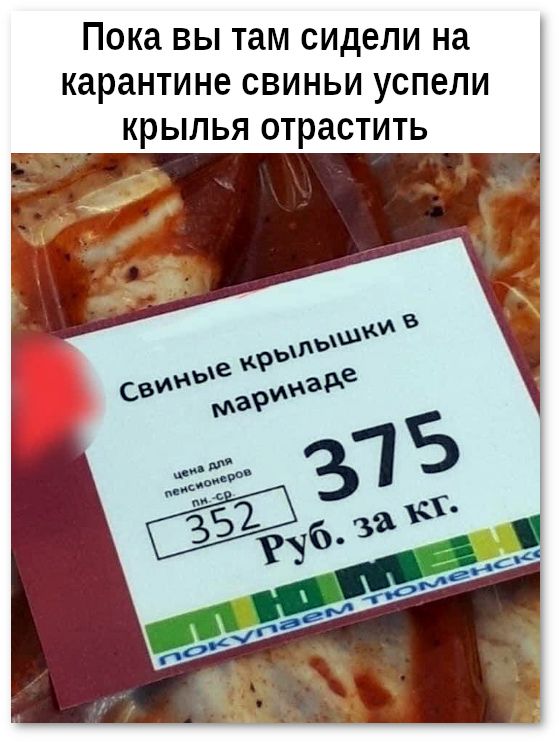 Пока вы там сидели на карантине свиньи успели крылья отрастить