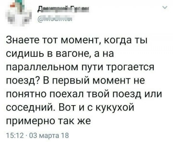 тт гг ь Знаете тот момент когда ты сидишь в вагоне а на параллельном пути трогается поезд В первый момент не понятно поехал твой поезд или соседний Вот и с кукухой примерно так же 1512 03 мартв18