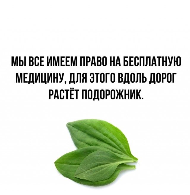 МЫ ВСЕ ИМЕЕМ ПРАВП НА БЕСПЛАТНУЮ МЕЛИЦИНУ дЛЯ ЗТПГО ВЛППЬ ЛПРОГ РАСТЁТ ППЛПРПЖНИК