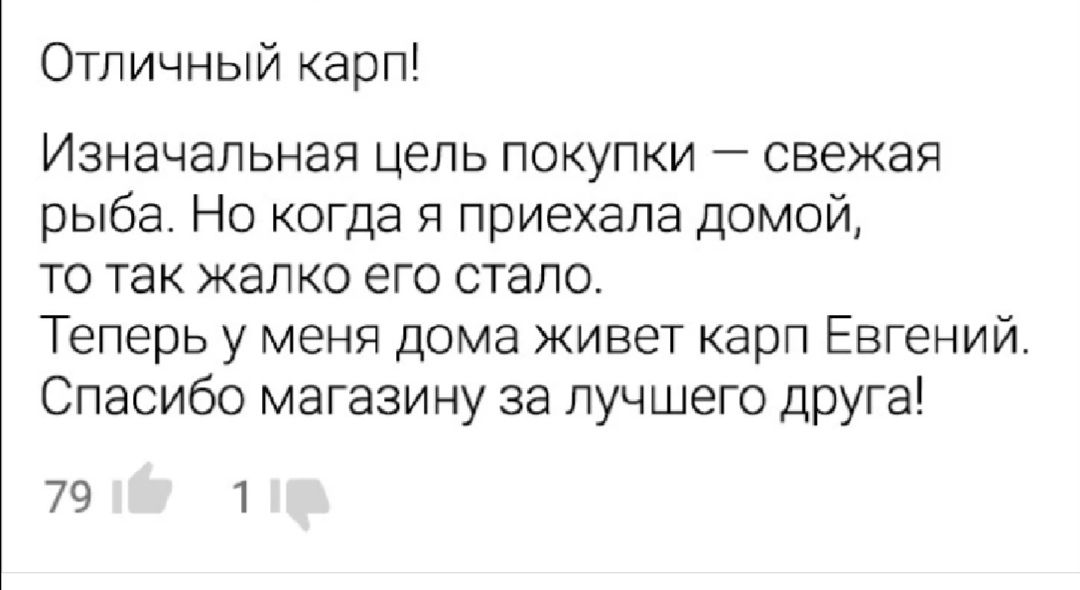 Отличный карп Изначальная цепь покупки свежая рыба Но когда я приехала домой то так жалко его стало Теперь у меня дома живет карп Евгений Спасибо магазину за лучшего друга 79 1