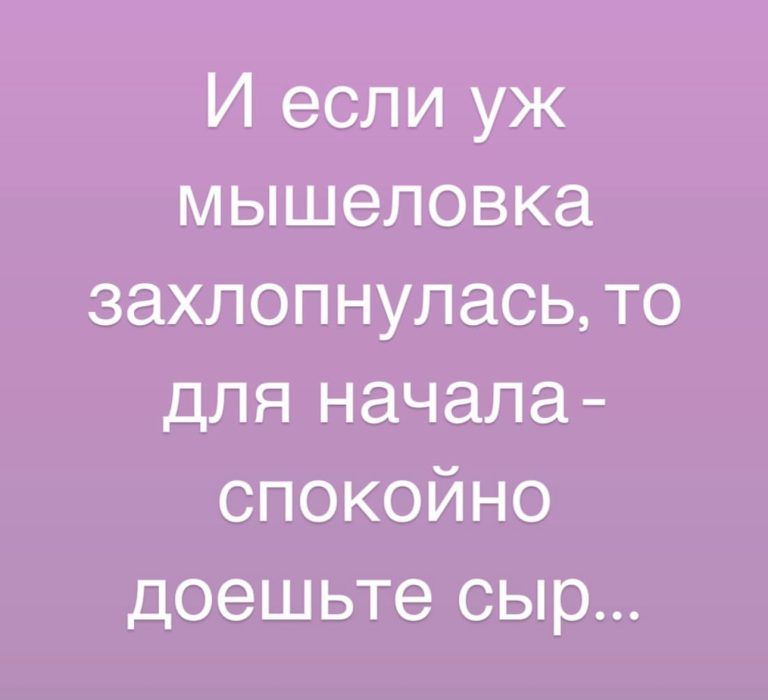 И если уж мышеловка захлопнулась то для начала спокойно доешьте сыр