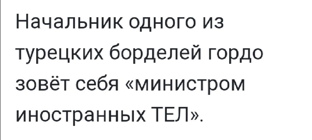 Начальник одного из турецких борделей гордо зовёт себя министром иностранных ТЕЛ