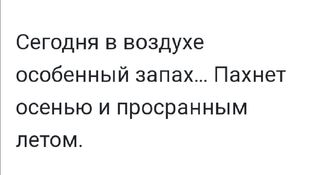 Сегодня в воздухе особенный запах Пахнет осенью и просранным летом