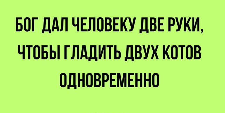 БОГ ДАЛ ЧЕЛОВЕКУ ДВЕ РУКИ ЧТОБЫ ГЛАДИТЬ ДВУХ КОТОВ ОДНОВРЕМЕННО