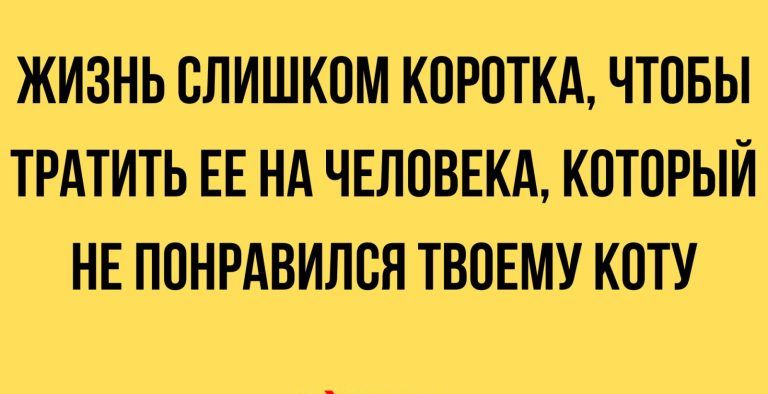 ЖИЗНЬ СЛИШКВМ КЦРВТКА ЧТПБЫ ТРАТИТЬ ЕЕ НА ЧЕЛОВЕКА КПТПРЫЙ НЕ ППНРАВИПСЯ ТВПЕМУ КПТУ