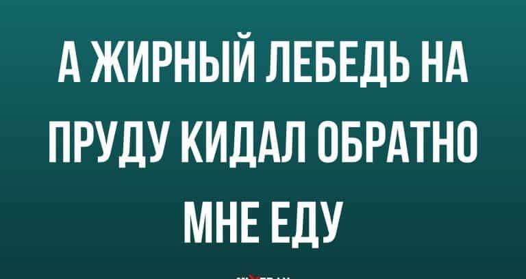 А ЖИРНЫЙ ЛЕБЕДЬ НА ПРУДУ КИДАЛ ОБРАТНО МНЕ ЕДУ