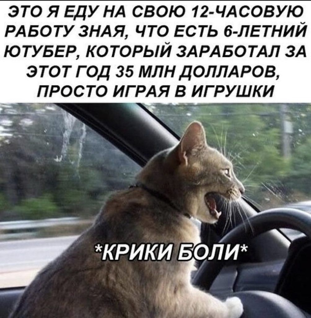 ЭТО Я ЕДУ НА СВОЮ 12 ЧАСОВУЮ РАБОТУ ЗНАЯ ЧТО ЕСТЬ 6 ЛЕТНИЙ ЮТУБЕР КОТОРЫЙ ЗАРАБОТАЛ ЗА ЭТОТ ГОД 35 МЛН ДОЛЛАРОВ ПРОСТО ИГРАЯ В ИГРУШКИ