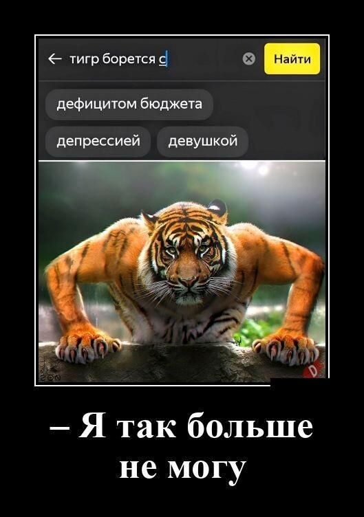 тигр боретсяё о дефицитом бюлжега депрессией девушкой Я так больше не могу