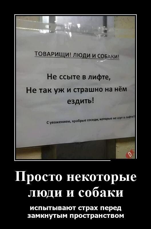 т ОмРШ щ шощш Не ссыте в лифте Не так уж и страшно на нём ездить ш уижвним шары Просто некоторые люди и собаки испытывают страх перед замкнутым пространством