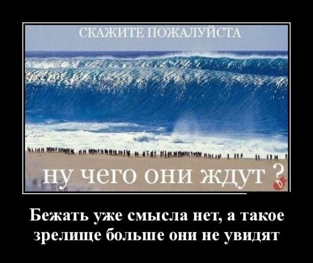 п г ммм Бежать уже СМЬШЛЗ нет а такое зрелище больше они не увидят