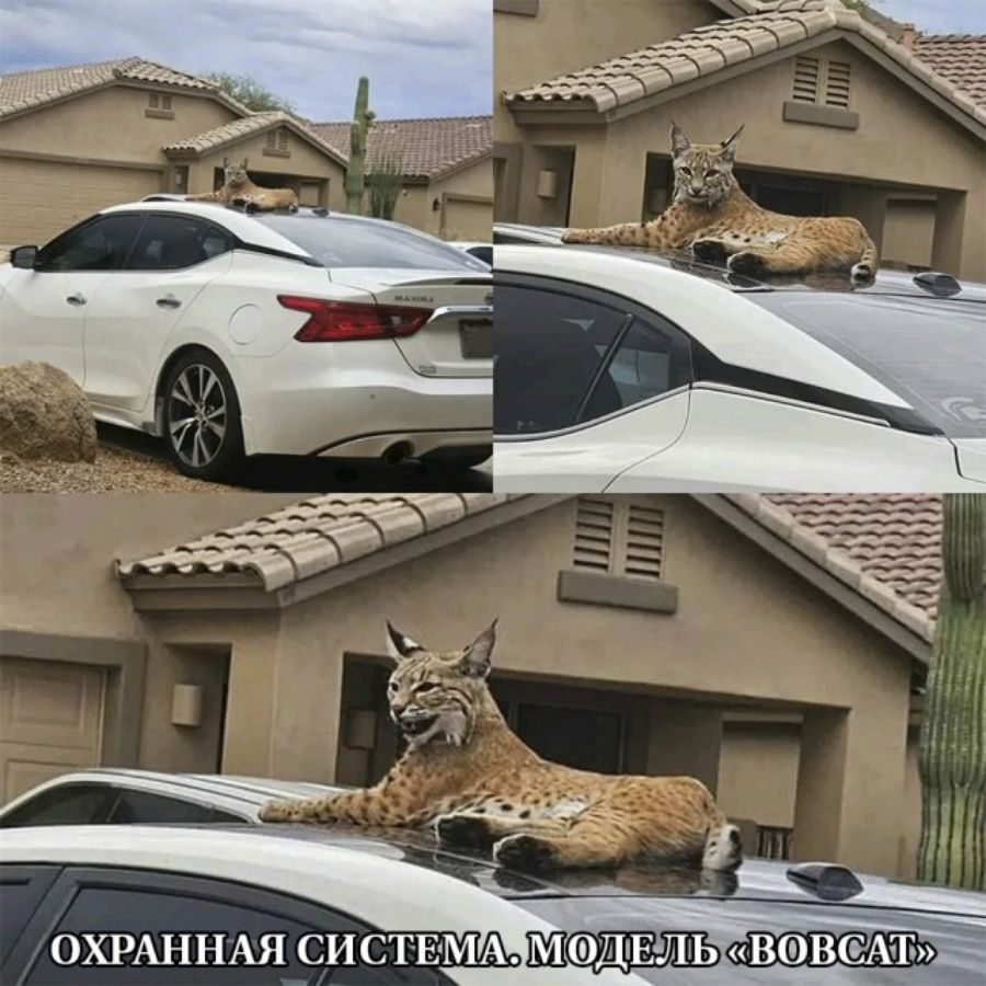 ОХРАННАЯ СИС