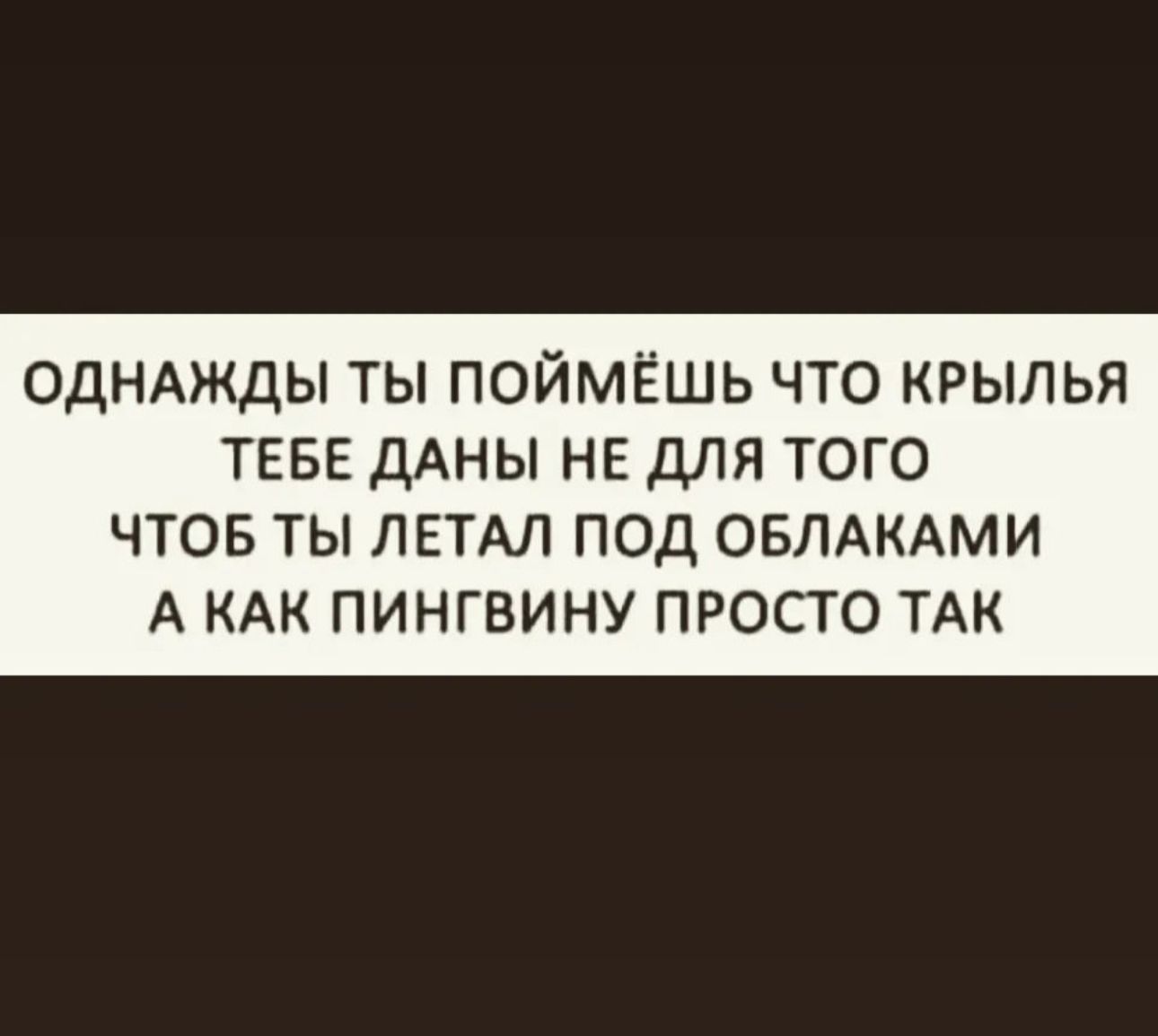 однмкды ты поймёшь что крылья ТЕБЕ ДАНЫ НЕ для того ЧТОБ ТЫ ЛЕТАЛ ПОД ОБЛАКАМИ А КАК ПИНГВИНУ ПРОСТО ТАК