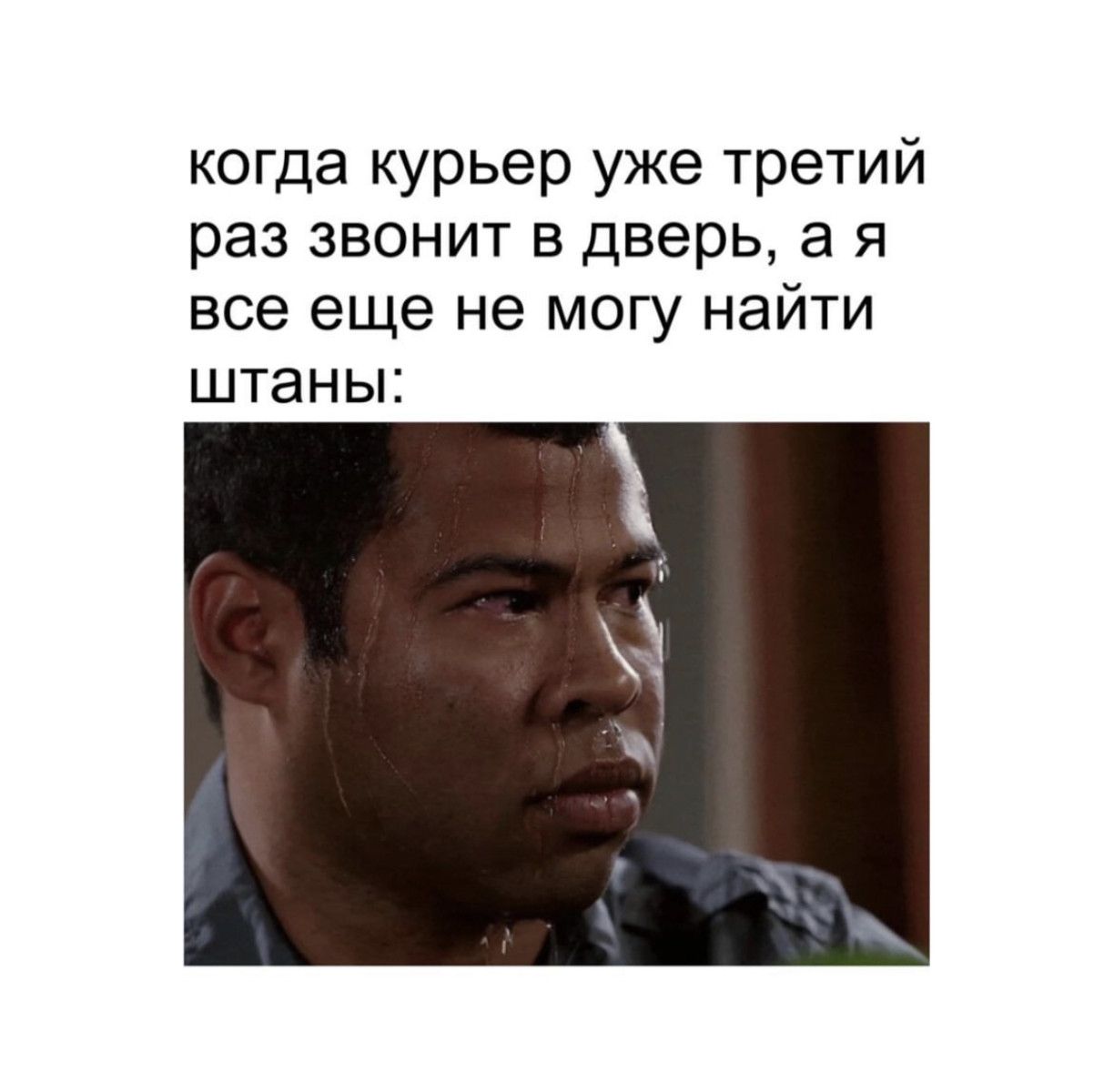 когда курьер уже третий раз звонит в дверь а я все еще не могу найти штаны