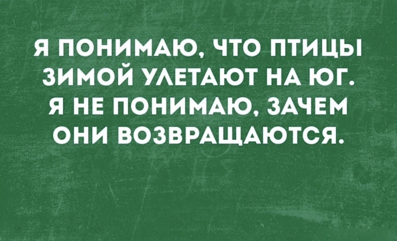 Я ПОНИМАЮ ЧТО ПТИЦЫ ЗИМОЙ УАЕТАЮТ НА ЮГ Я НЕ ПОНИМАЮ ЗАЧЕМ ОНИ ВОЗВРАЩАЮТСЯ