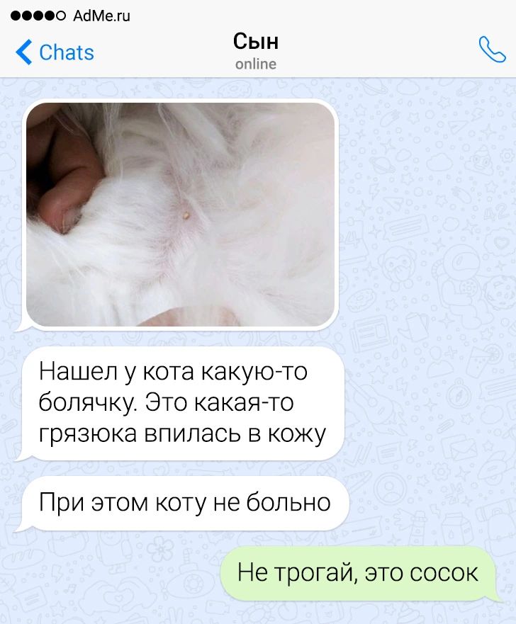 спев Сын от не Нашел у кота какую то болячку Это какая то грязюка впилась в кожу При этом коту не больно Не трогай это сосок