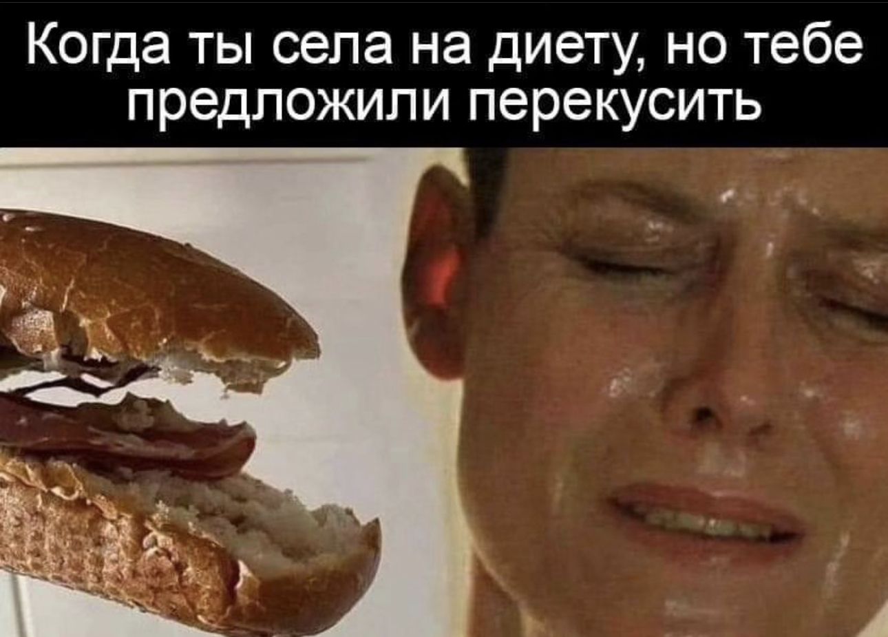 Когда ты села на диету но тебе предложили перекусить