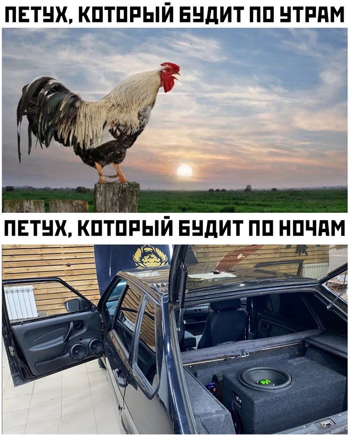 ПЕТНХ КПТПРЫЙ ЕНдИТ ПП НТРПМ