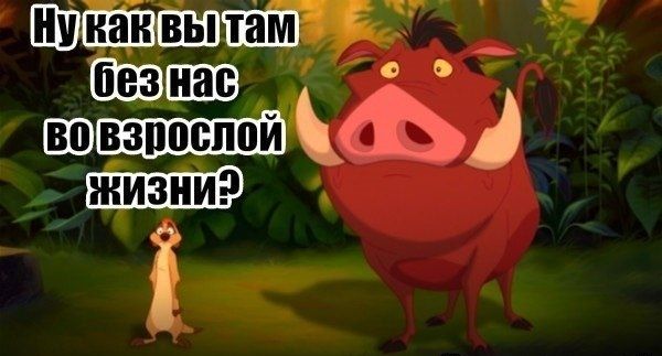 наытмтт Паша юн Взппспои ё