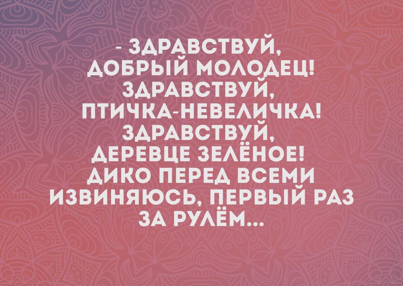 зАцвствУй Аоврыи МОАОАЕЦ здрдвствуи ПТИЧКА неваичкм ЗАРАВСТВУЙ АЕРЕВЦЕ ЗЕАЁнЬы Аико пери всеми извиняюсь Ценный РАЗ ЗА имён