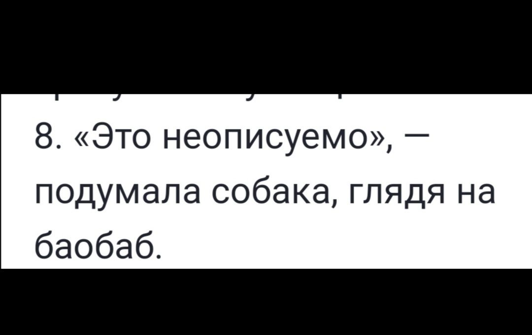 8 Это неописуемо подумала собака глядя на баобаб