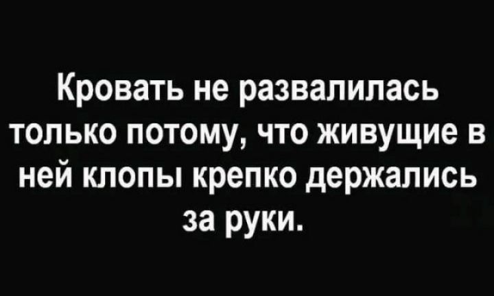 Кровать не развалилась только потому что живущие в ней клопы крепко держались за руки