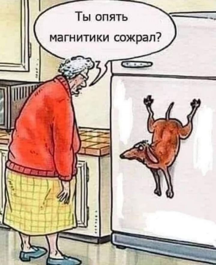 Ты опять магнитики сожрал