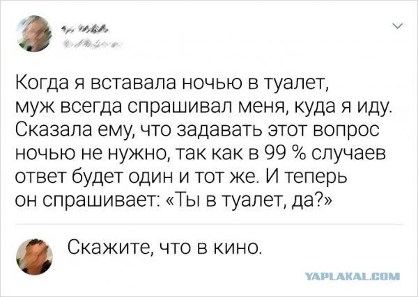 ми ч Когда я вставала ночью в туалет муж всегда спрашивал меня куда я иду Сказала ему что задавать этот вопрос ночью не нужно так как в 99 случаев ответ будет один и тот же И теперь он спрашивает ТЫ в туалет да Скажите что в кино