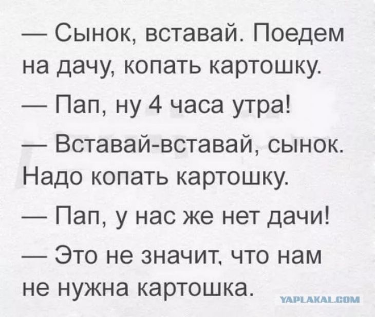 Сынок вставай Поедем на дачу копать картошкуе Пап ну 4 часа утра Вставай вставай сынок Надо копать картошку Пап у нас же нет дачи ЭТО не ЗНЭЧИТ ЧТО нам не нужна картошка