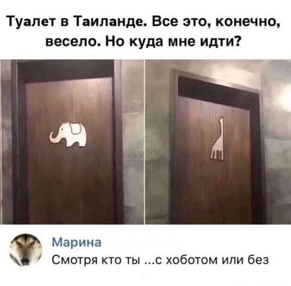 Туалет в Таиланде Все это конечно весело Но куда мне идти Марина Смотря кто ты с хоботом или без