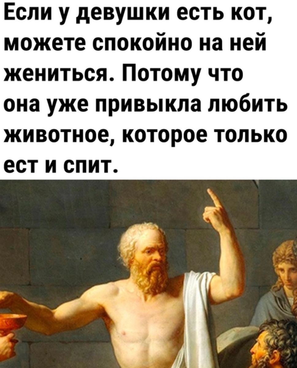 Если у девушки есть кот можете спокойно на ней жениться Потому что она уже привыкла любить животное которое только ЕСТ И СПИТ