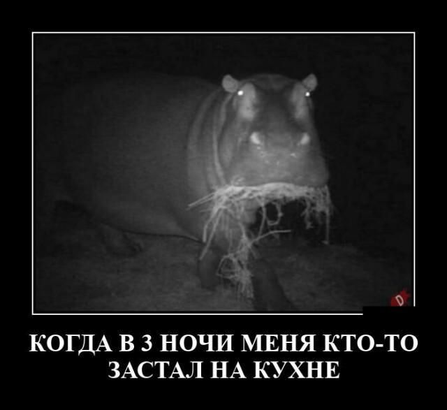 КОГДА В 3 НОЧИ МЕНЯ КТО ТО ЗАСТАЛ НА КУХНЕ