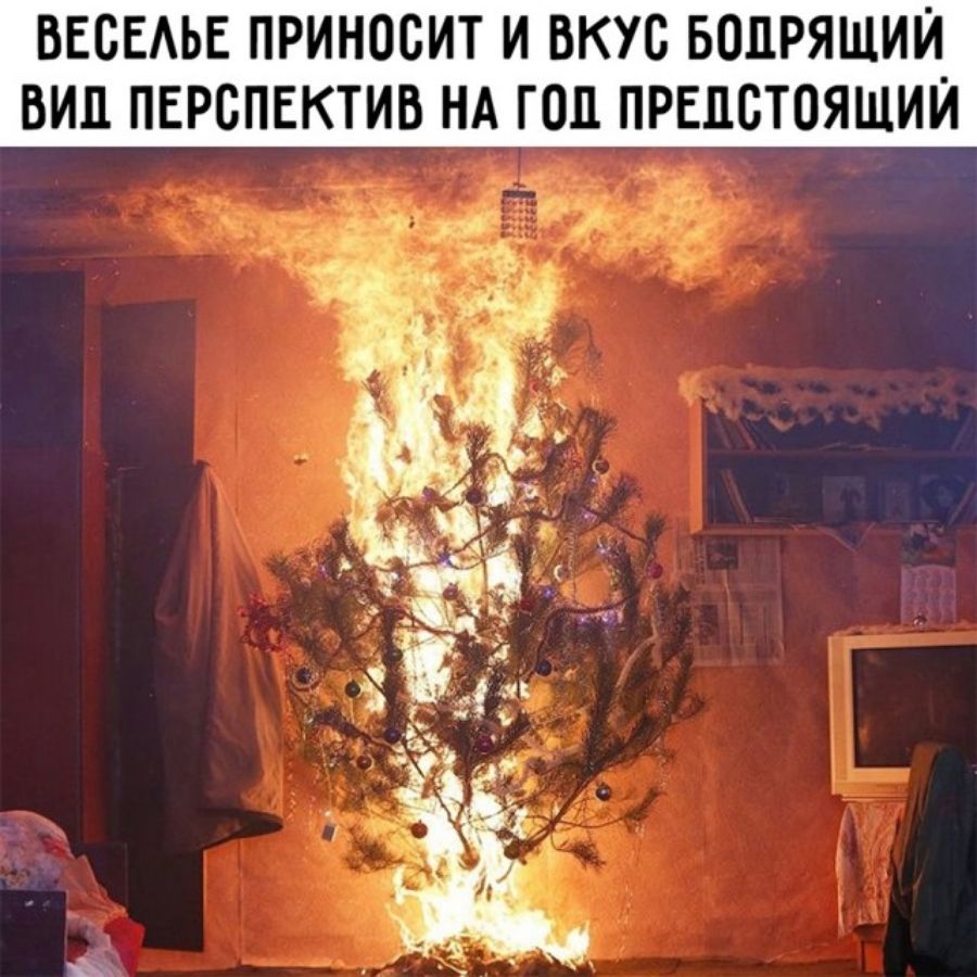 ВЕСЕАЬЕ ПРИНОБИТ И ВКУС БОПРЯЩИЙ ВИП ПЕРСПЕКТИВ НА ГОЛ ПРЕДСТОЯЩИЙ