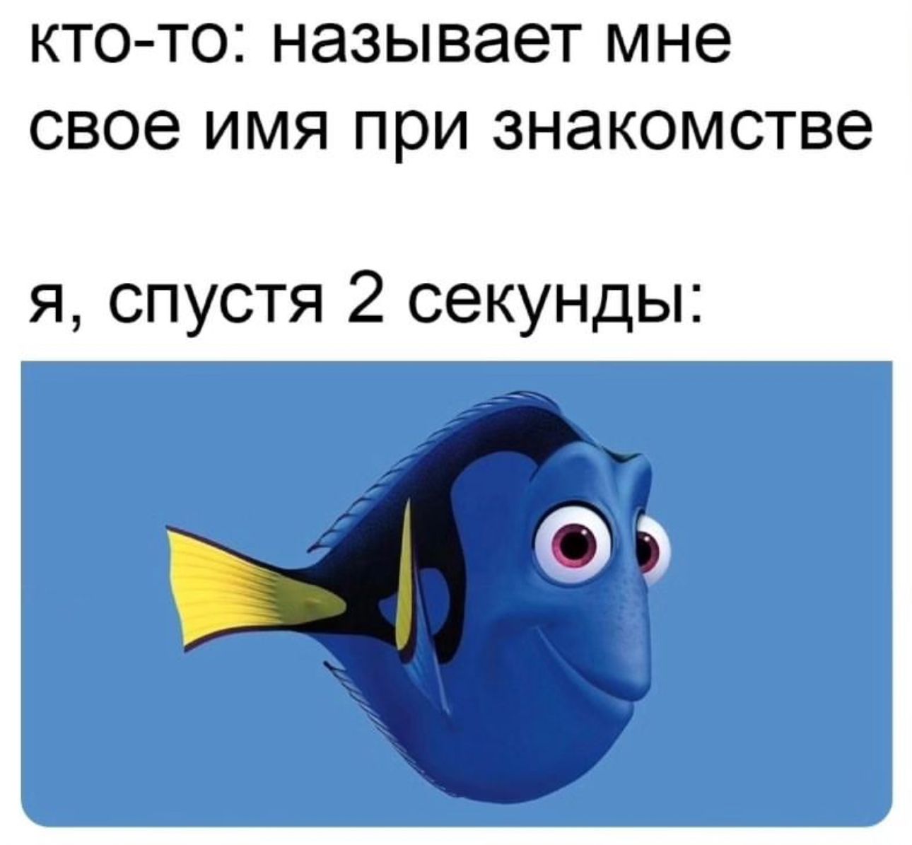 КТО ТОЗ НЭЗЫВЭЭТ мне СВОЭ ИМЯ ПРИ ЗНЭКОМСТВЭ я спустя 2 секунды