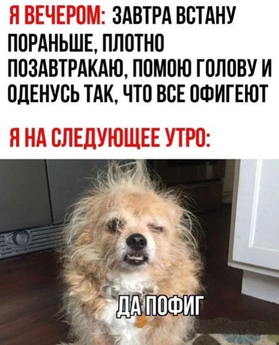 ЗАВТРА ВСТАНУ ПОРАНЬШЕ ПЛПТНО ПОЗАВТРАКАЮ ППМПЮ ГПЛОВУ И ОДЕНУСЬ ТАК ЧТО ВСЕ ПФИГЕЮТ
