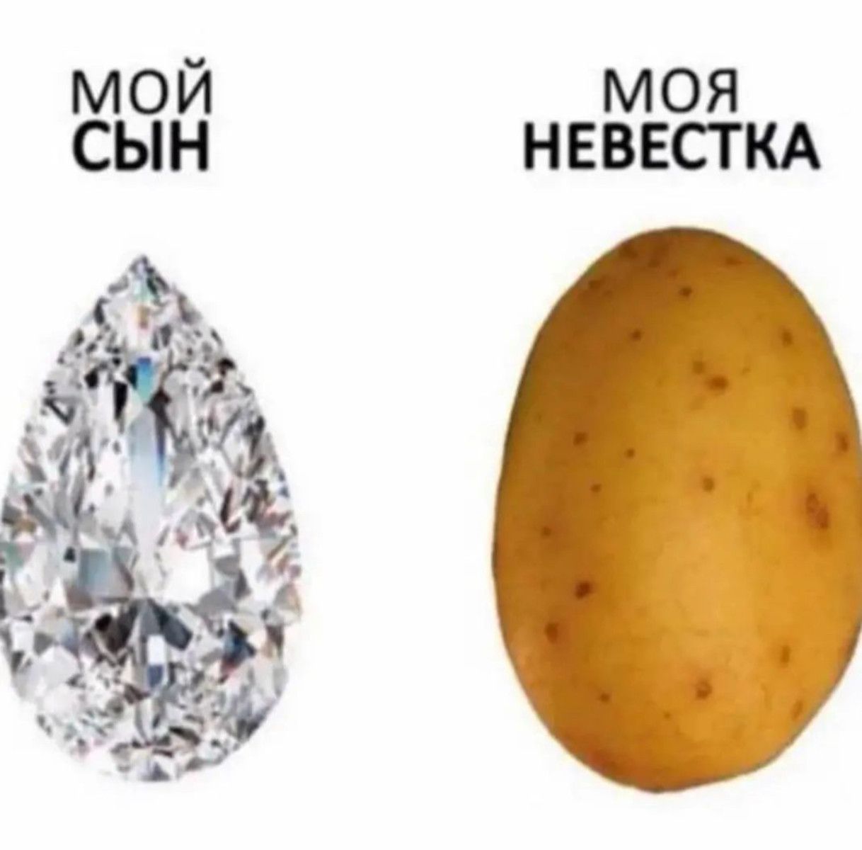 МОЯ НЕВЕСТКА