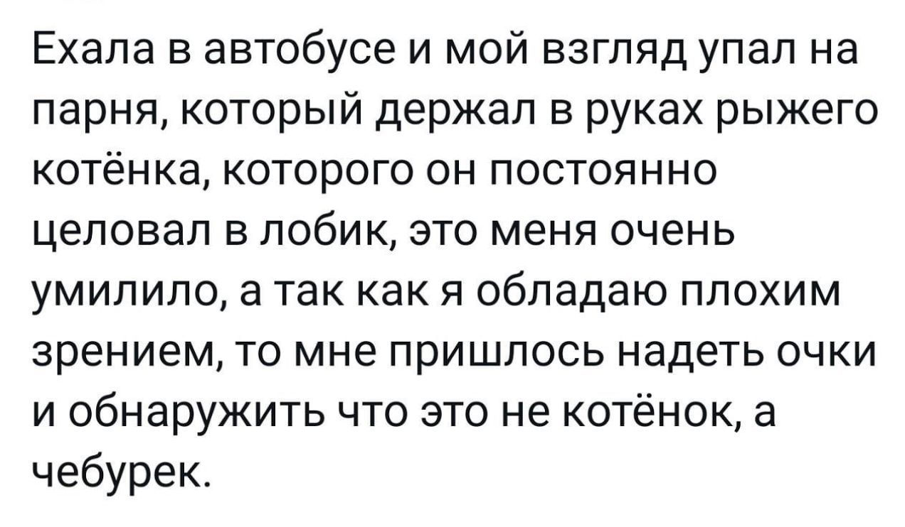 Ехала в автобусе и мой взгляд упал на парня который держал в руках рыжего котёнка которого он постоянно целовал в побик это меня очень умилило а так как я обладаю плохим зрением то мне пришлось надеть очки и обнаружить что это не котёнок а чебурек