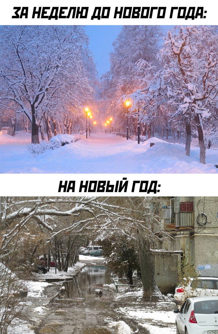 ЗП НЕДЕЛЮ дП НПВПГ П Г Пдд